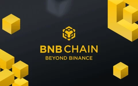 BNB Chain计划在2025年升级更快的区块、融入AI且无Gas交易费